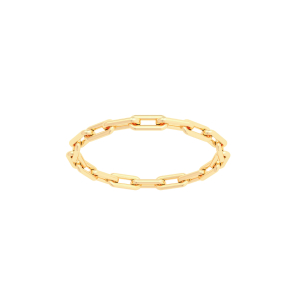 Asiley Chain Ring