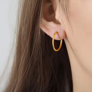 High-end circle light luxury earrings