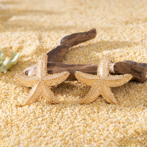 Sand Star Earrings