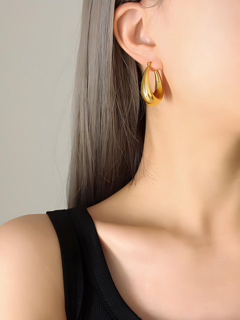 Fashion Statement Earrings 