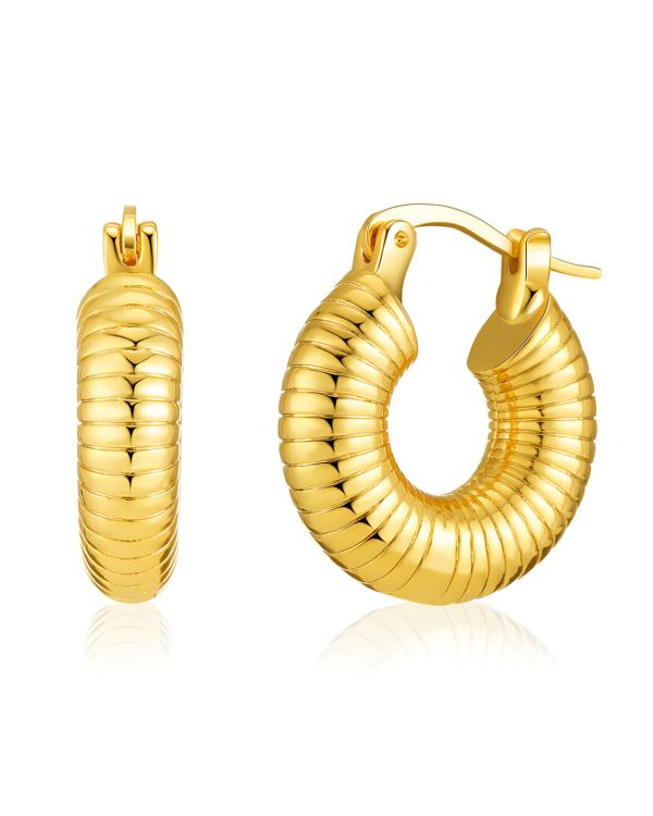 Gold Snail Textured Hoops Earrings