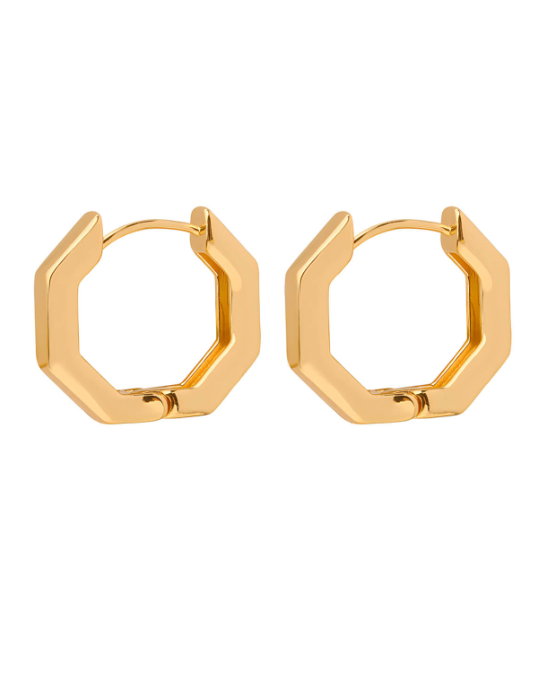 Simple Geometric Polygon Earrings